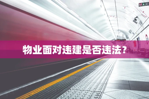 物业面对违建是否违法？