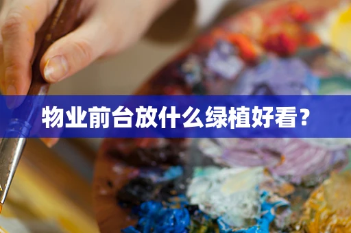 物业前台放什么绿植好看？