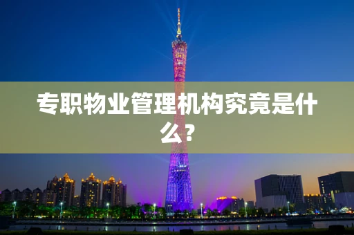 专职物业管理机构究竟是什么？