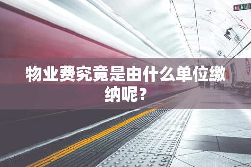 物业费究竟是由什么单位缴纳呢？