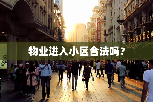 物业进入小区合法吗？