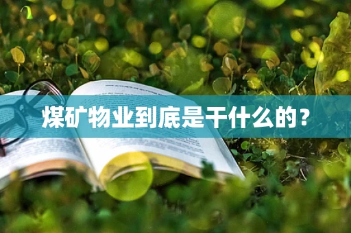 煤矿物业到底是干什么的？