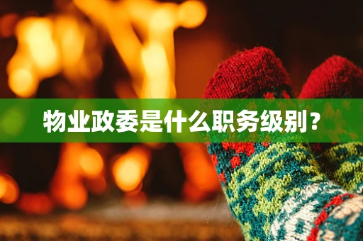 物业政委是什么职务级别？