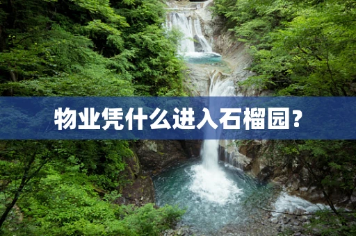 物业凭什么进入石榴园？