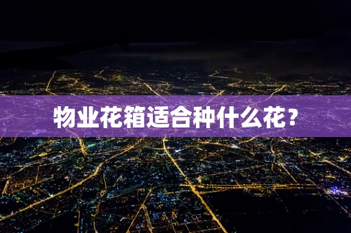 物业花箱适合种什么花？