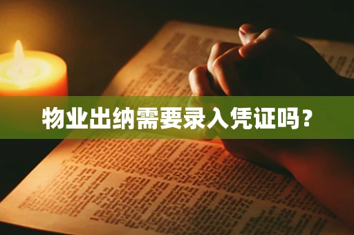 物业出纳需要录入凭证吗？