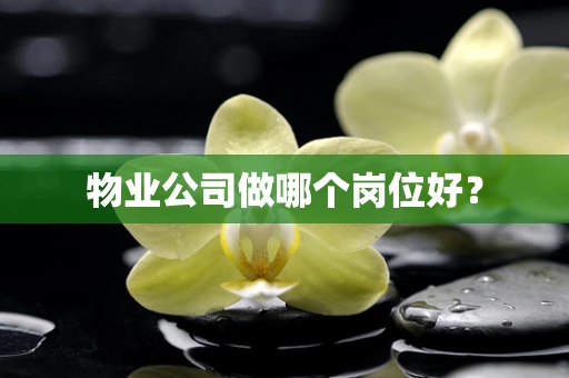 物业公司做哪个岗位好？