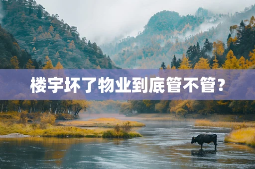 楼宇坏了物业到底管不管？