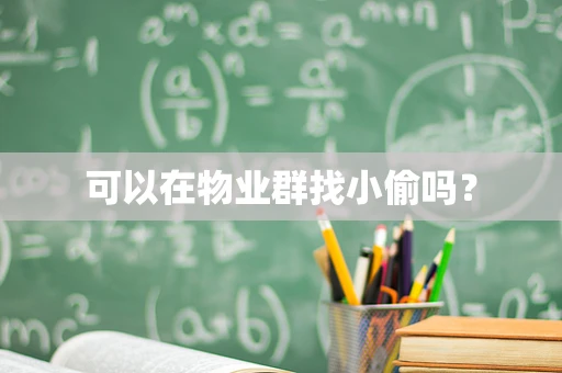 可以在物业群找小偷吗？