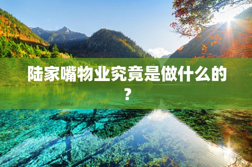 陆家嘴物业究竟是做什么的？