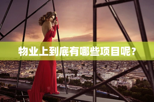 物业上到底有哪些项目呢？