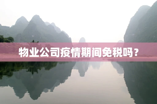 物业公司疫情期间免税吗？
