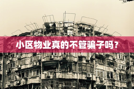 小区物业真的不管骗子吗？
