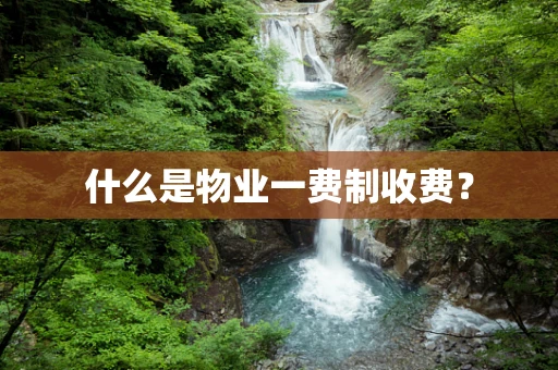 什么是物业一费制收费？