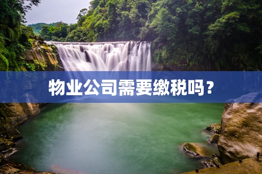 物业公司需要缴税吗？