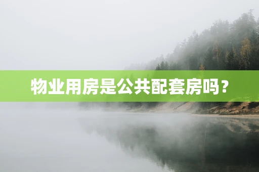物业用房是公共配套房吗？