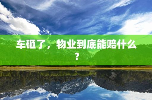车砸了，物业到底能赔什么？