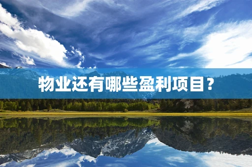 物业还有哪些盈利项目？