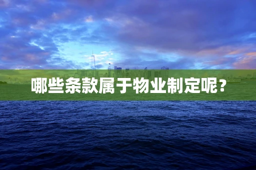 哪些条款属于物业制定呢？