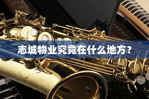 志城物业究竟在什么地方？