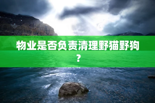 物业是否负责清理野猫野狗？