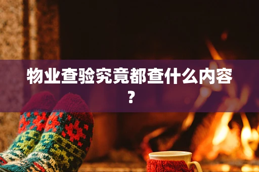 物业查验究竟都查什么内容？