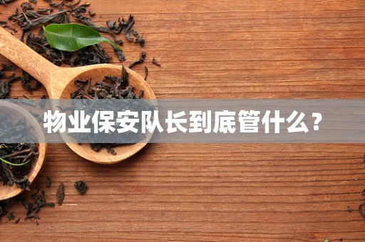 物业保安队长到底管什么？