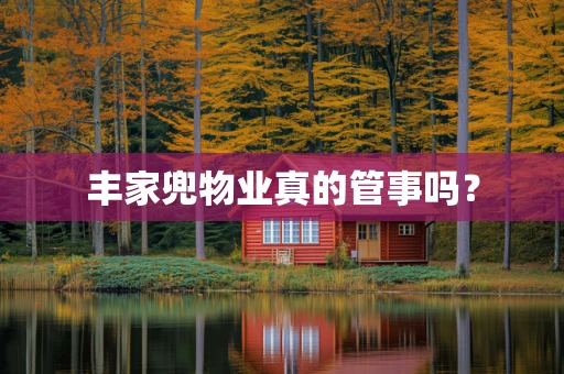丰家兜物业真的管事吗？