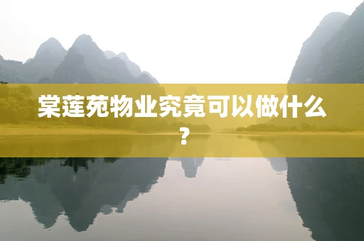 棠莲苑物业究竟可以做什么？