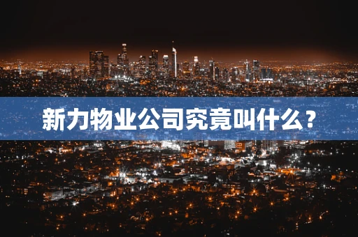 新力物业公司究竟叫什么？