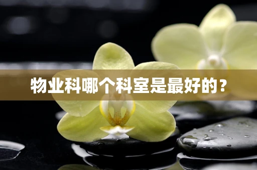 物业科哪个科室是最好的？