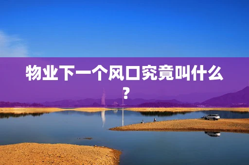 物业下一个风口究竟叫什么？