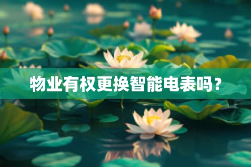 物业有权更换智能电表吗？