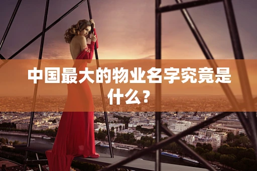 中国最大的物业名字究竟是什么？