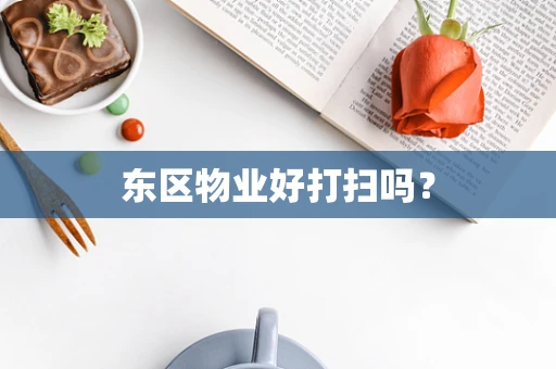 东区物业好打扫吗？
