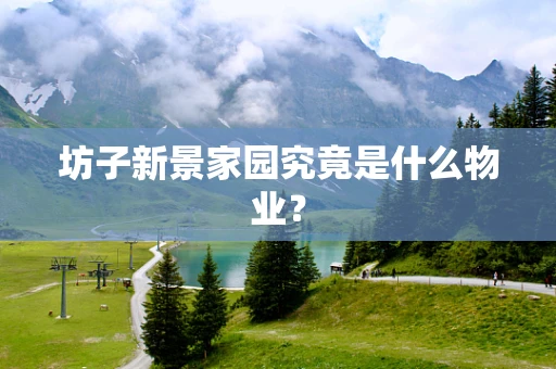 坊子新景家园究竟是什么物业？