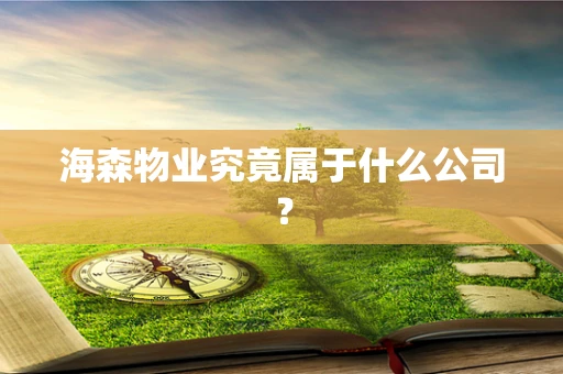 海森物业究竟属于什么公司？