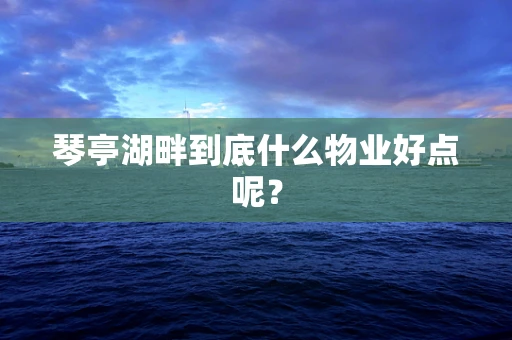 琴亭湖畔到底什么物业好点呢？