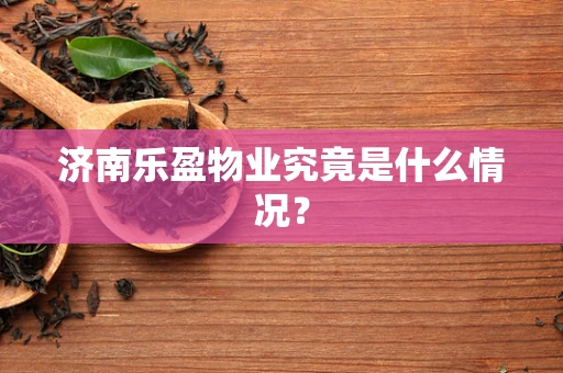 济南乐盈物业究竟是什么情况？