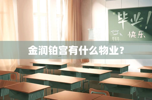 金润铂宫有什么物业？