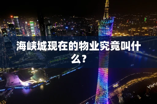 海峡城现在的物业究竟叫什么？