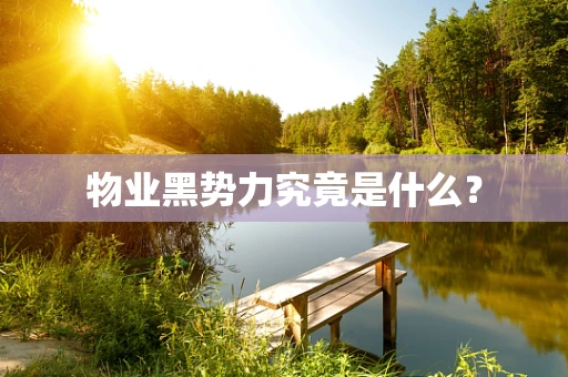 物业黑势力究竟是什么？