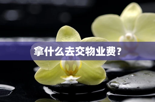 拿什么去交物业费？