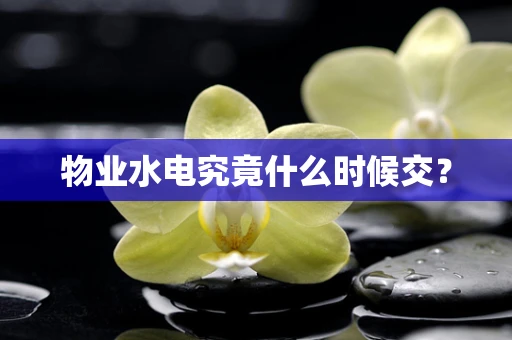 物业水电究竟什么时候交？