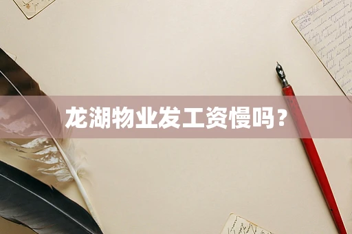 龙湖物业发工资慢吗？