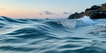 海纳物业有限公司到底怎么样？