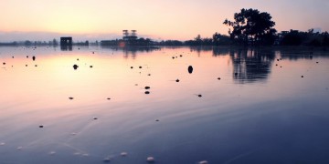 中信森林湖是否有物业管理?