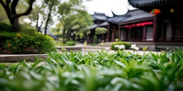 南京天成苑究竟是什么物业？